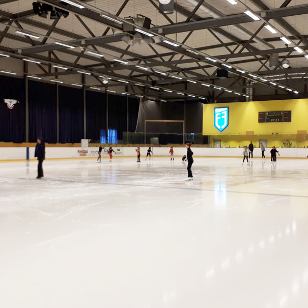 Egilsholl-Skautasvell